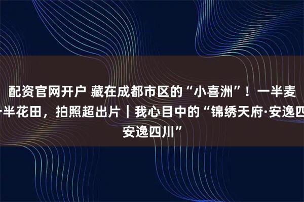 配资官网开户 藏在成都市区的“小喜洲”！一半麦浪一半花田，拍照超出片｜我心目中的“锦绣天府·安逸四川”